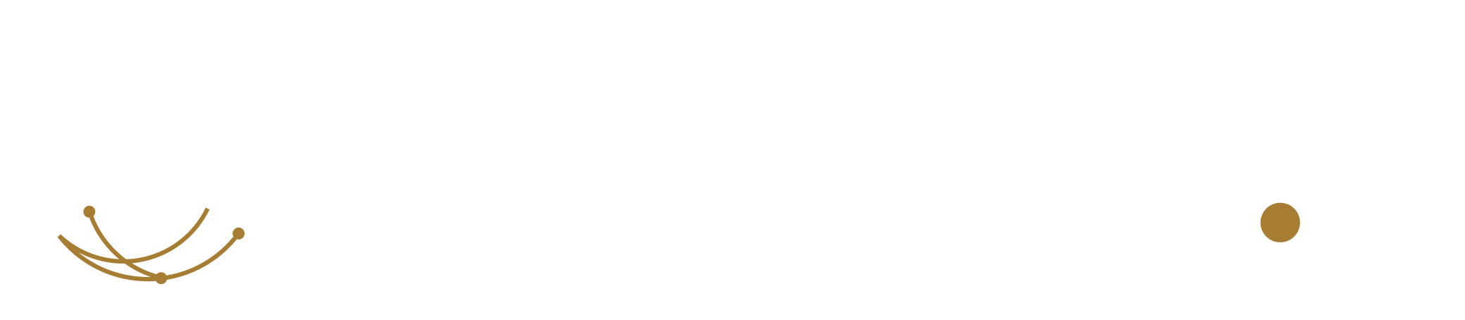 Núcleo Ads